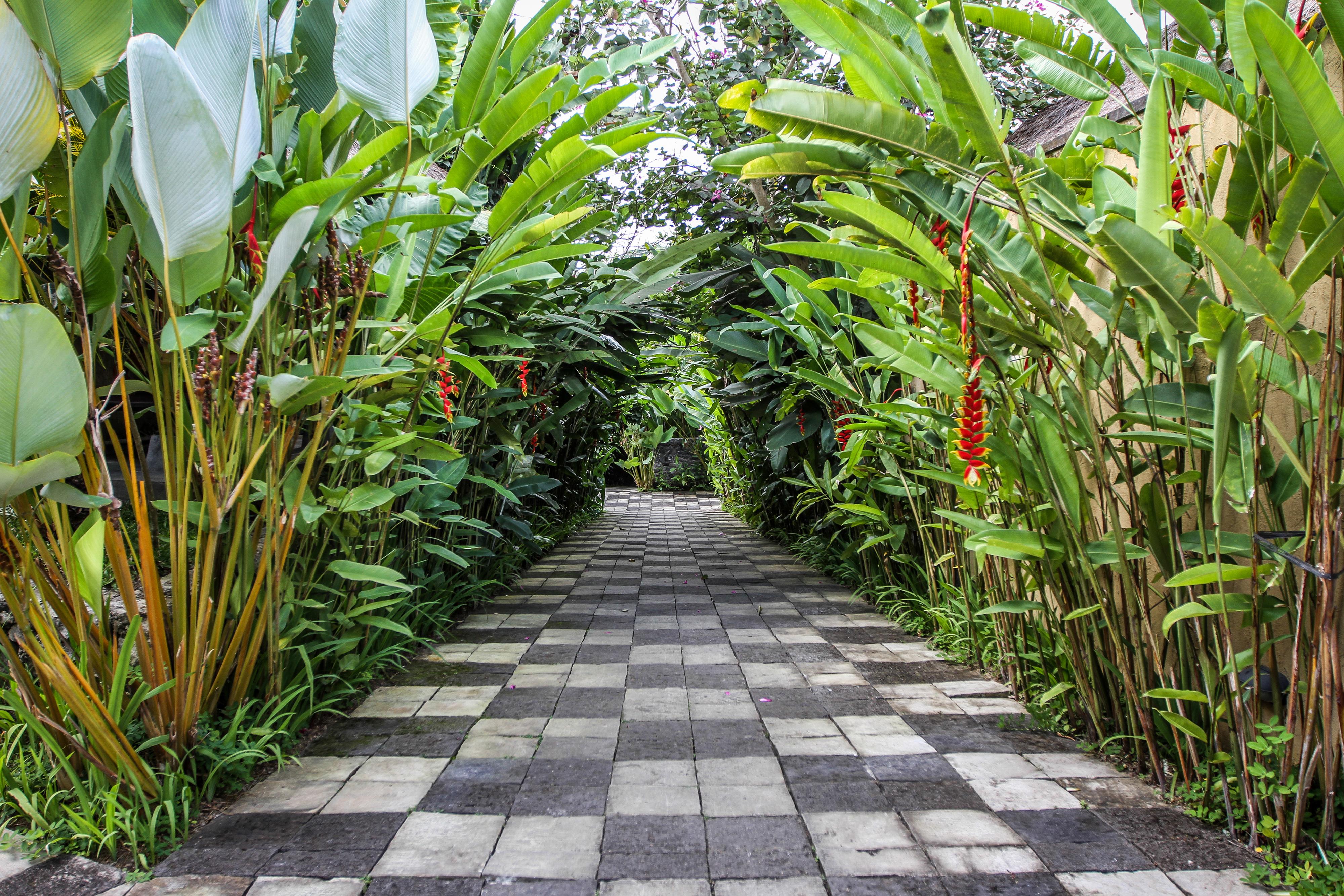 Ubud Green Resort Villas Powered By Archipelago Exterior photo