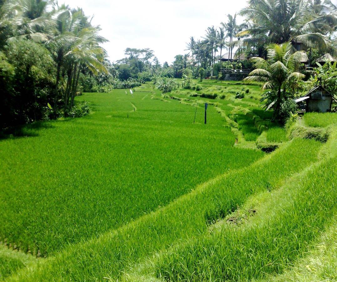 Ubud Green Resort Villas Powered By Archipelago Exterior photo